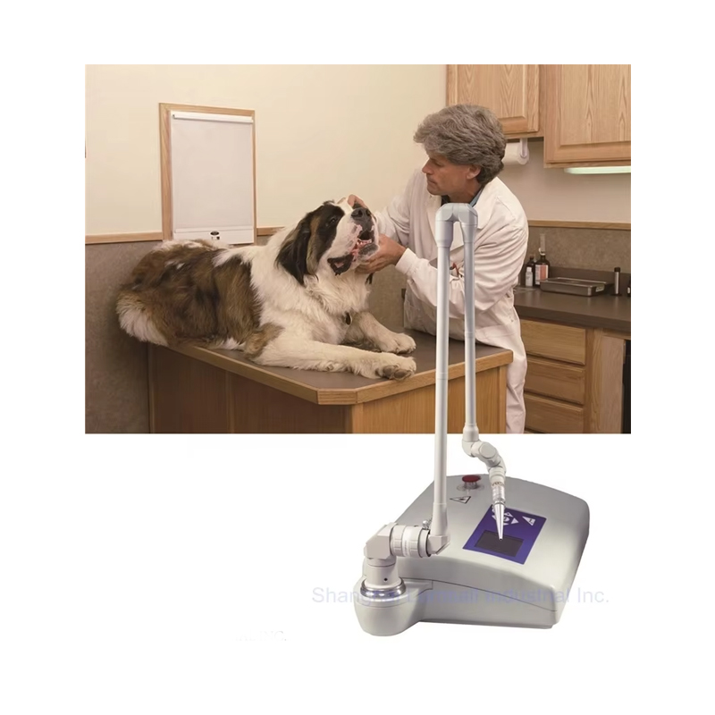 เครื่องเลเซอร์ CO2 สำหรับการผ่ - Co2 Fractional Laser Machine Clinic บทวิจารณ์และราคา