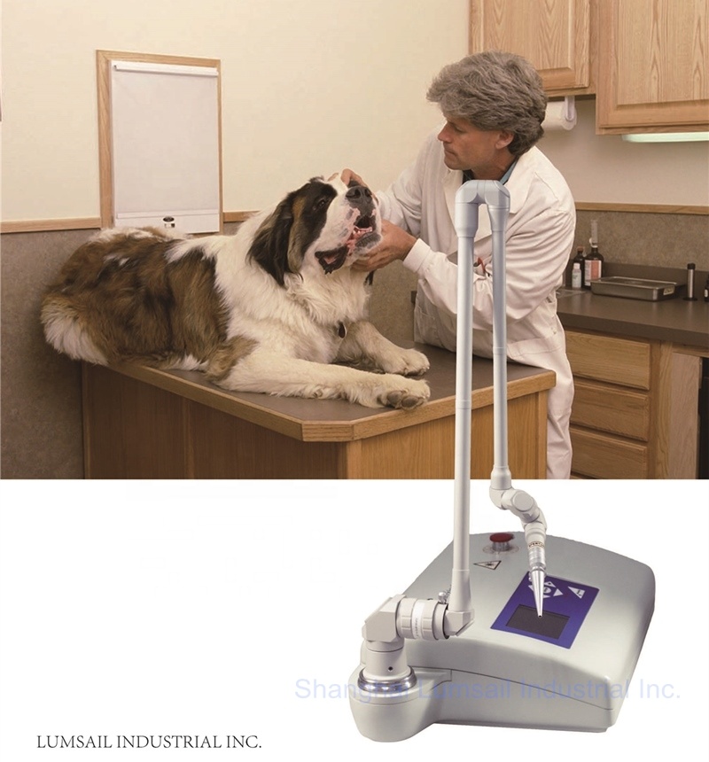 เครื่องเลเซอร์ CO2 สำหรับการผ่ - Co2 Fractional Laser Machine Clinic บทวิจารณ์และราคา